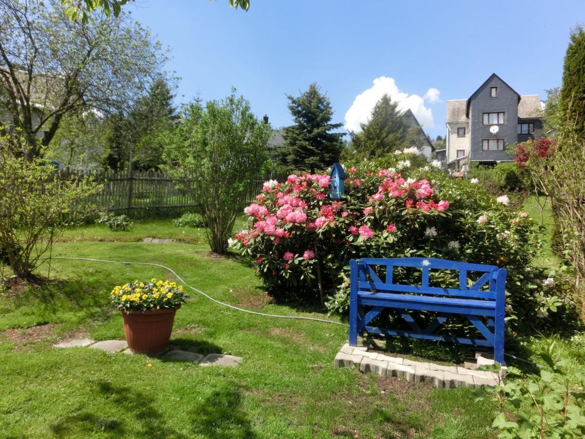 Apartment In Thuringian Forest With Garden Oberweißbach Εξωτερικό φωτογραφία