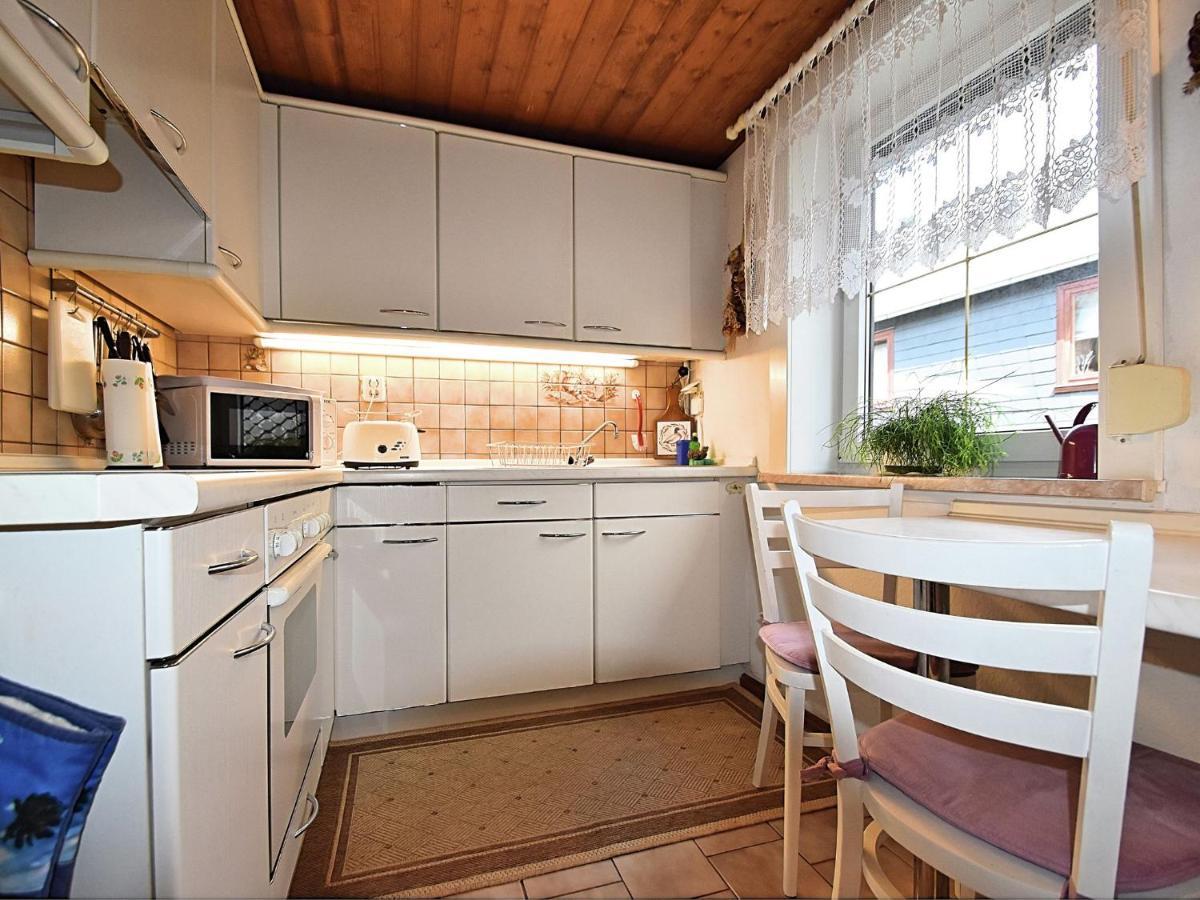 Apartment In Thuringian Forest With Garden Oberweißbach Εξωτερικό φωτογραφία